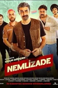 Немлизаде